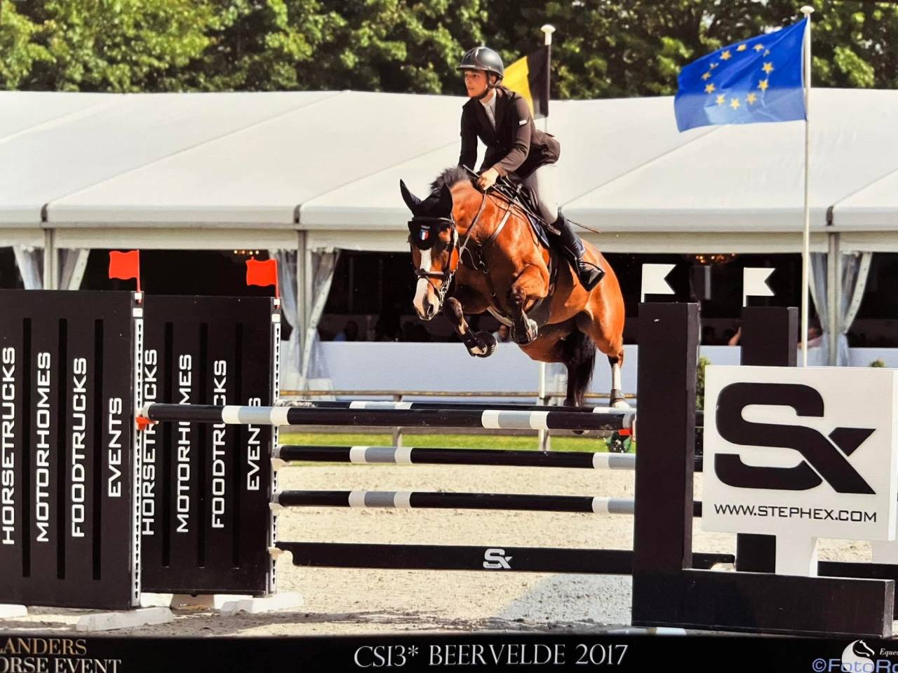 Tr&egrave;s joli poulain 2025