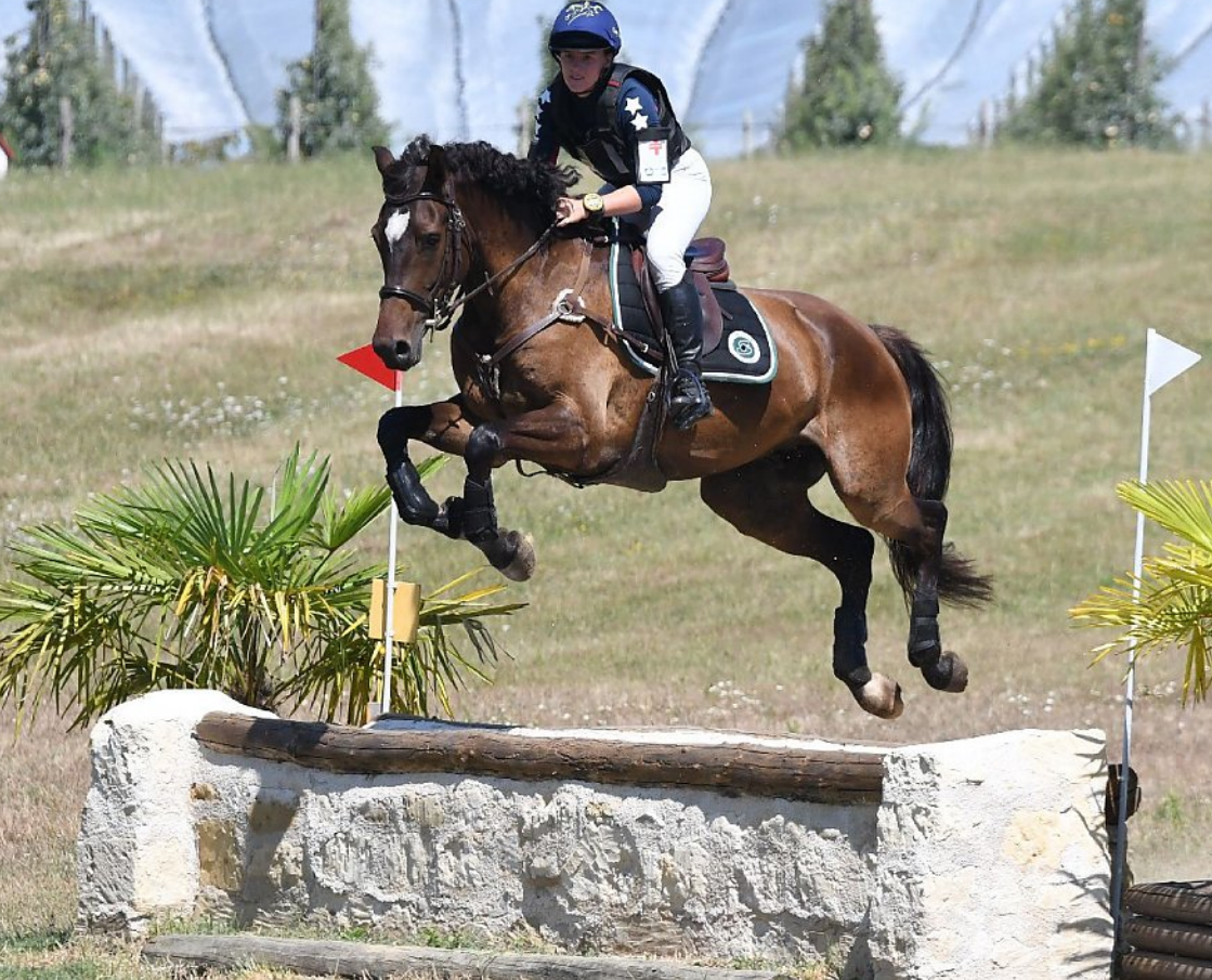 A vendre Selle Fran&ccedil;ais 6 ans 