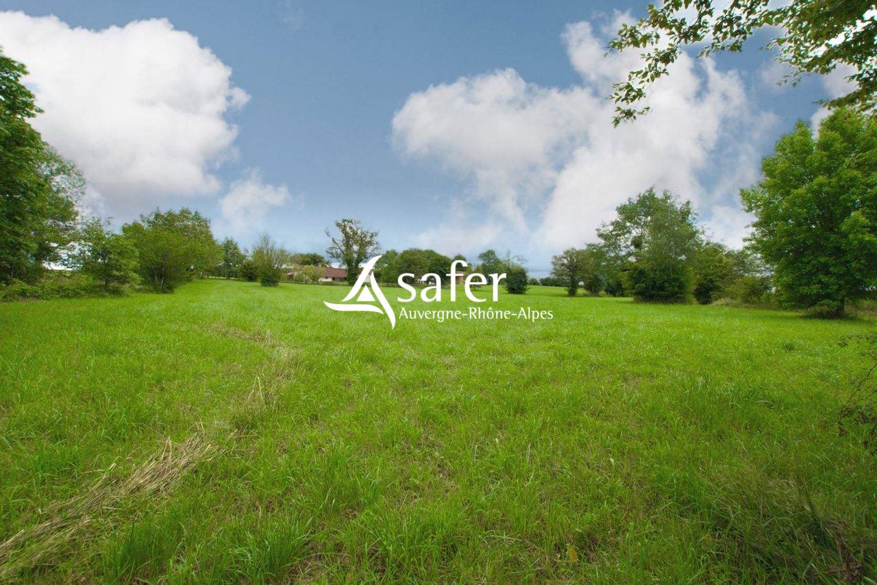 Propri&eacute;t&eacute; &eacute;questre en Bresse