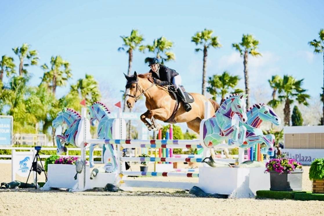 ? Top jument SF de 6 ans 