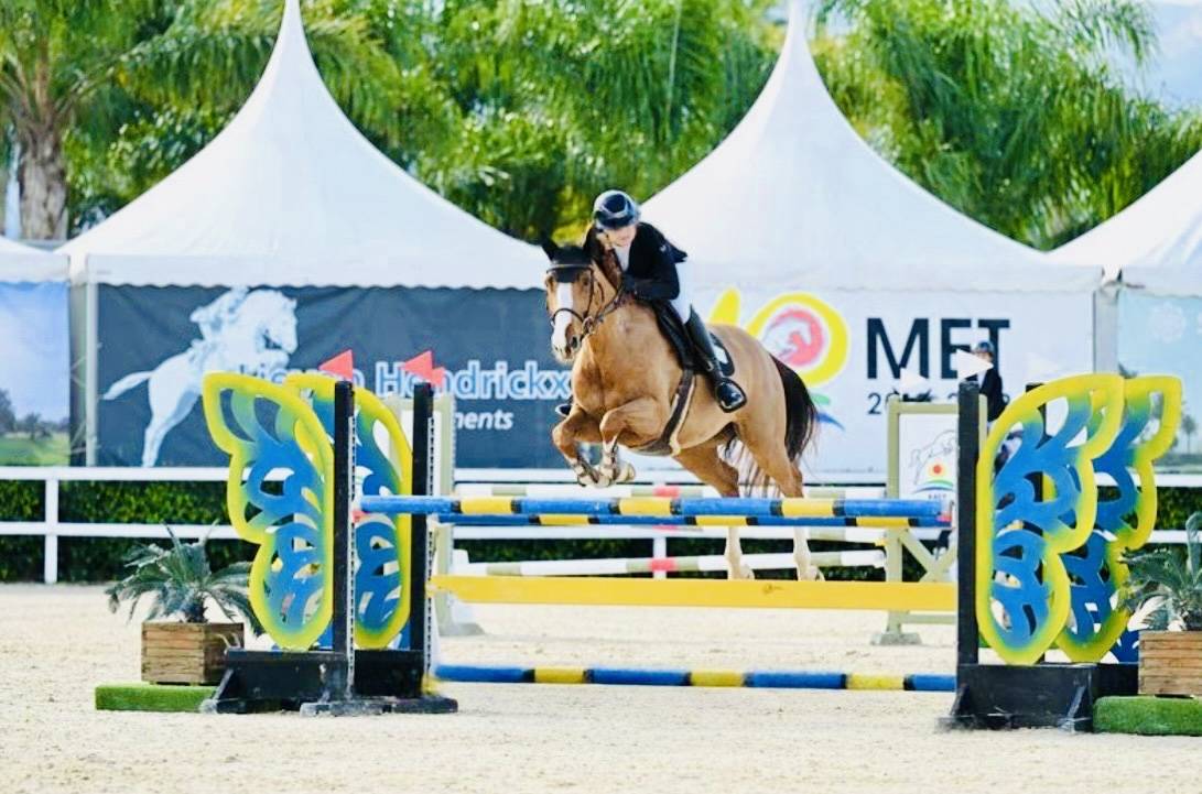 ? Top jument SF de 6 ans 