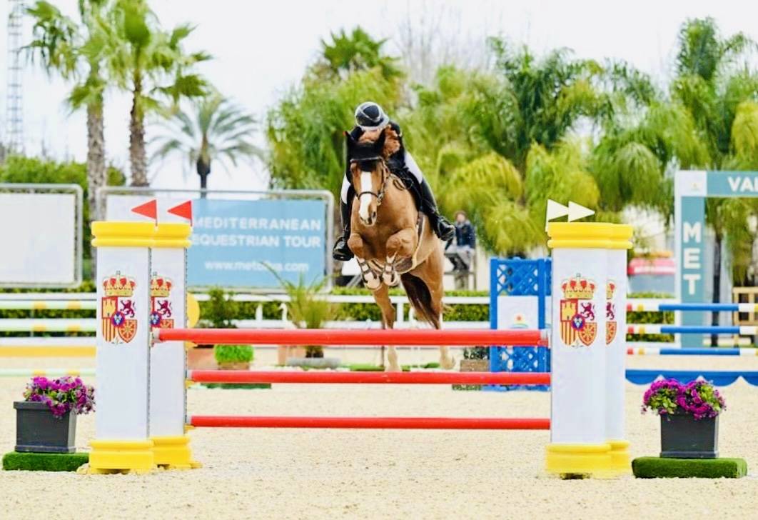 ? Top jument SF de 6 ans 