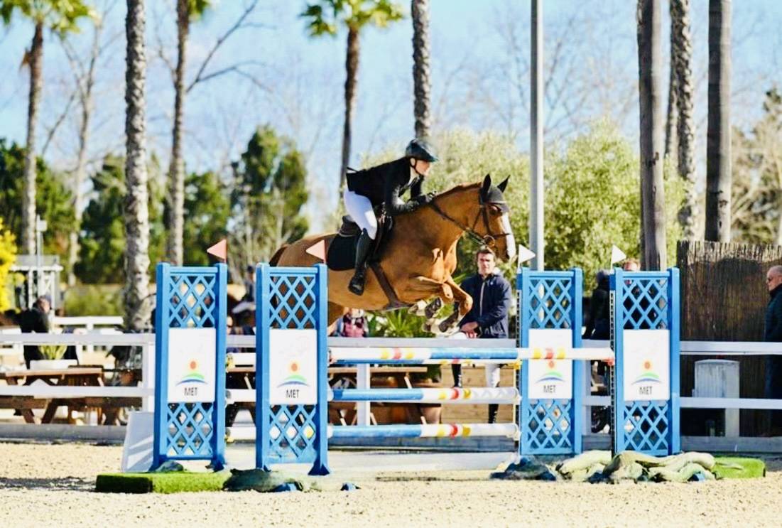 ? Top jument SF de 6 ans 