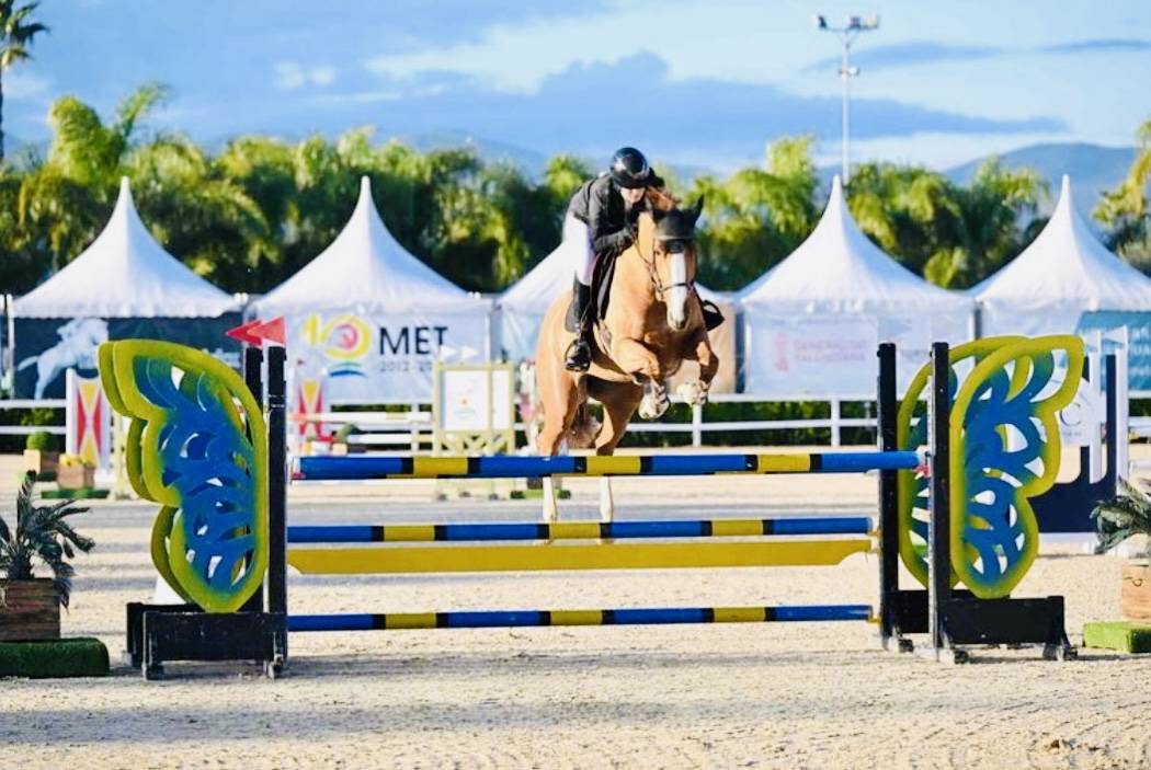 ? Top jument SF de 6 ans 