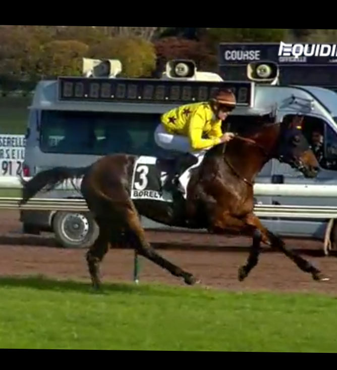 Cashbag - Saillie PS