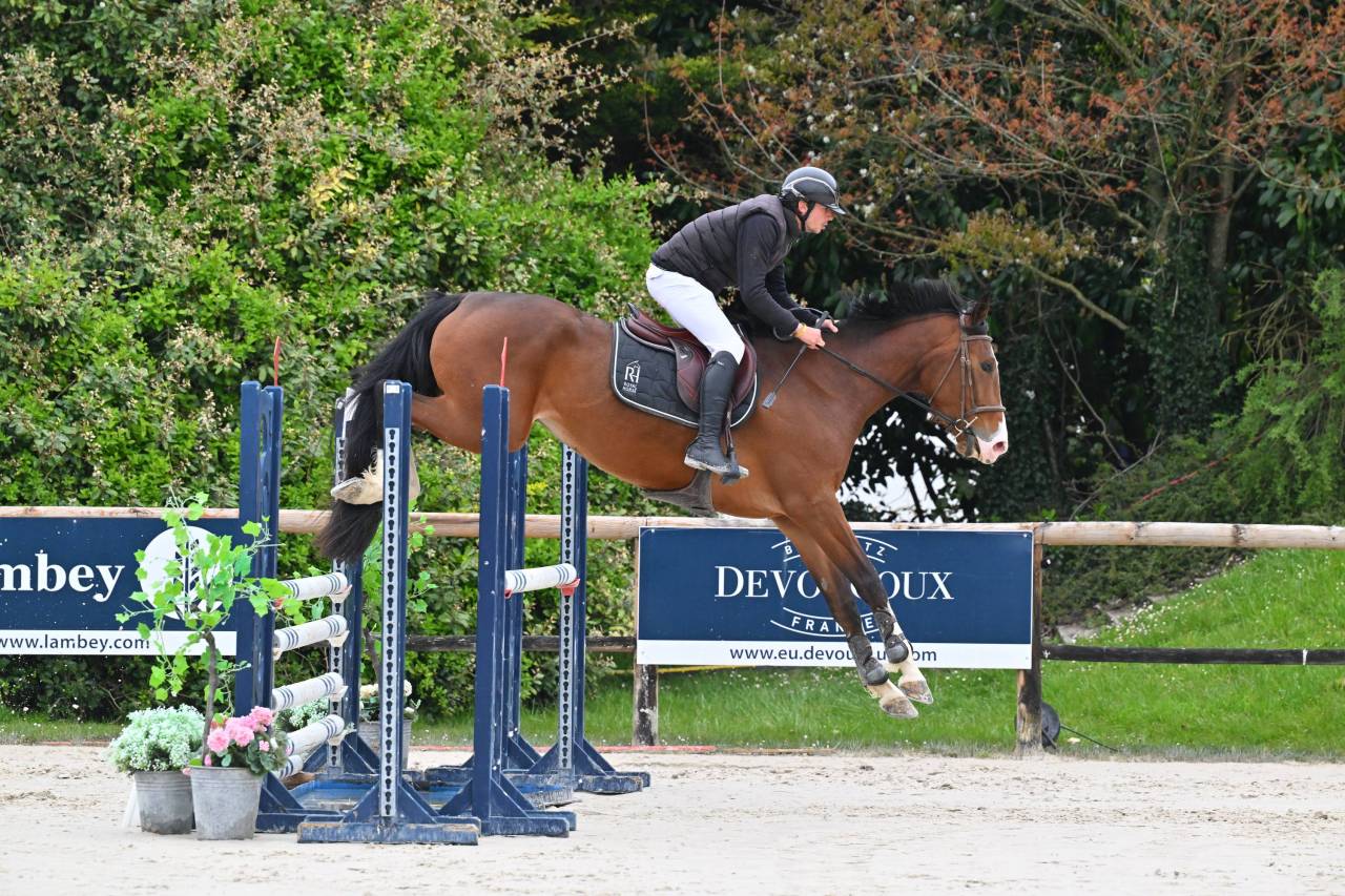 Excellente jument SF 