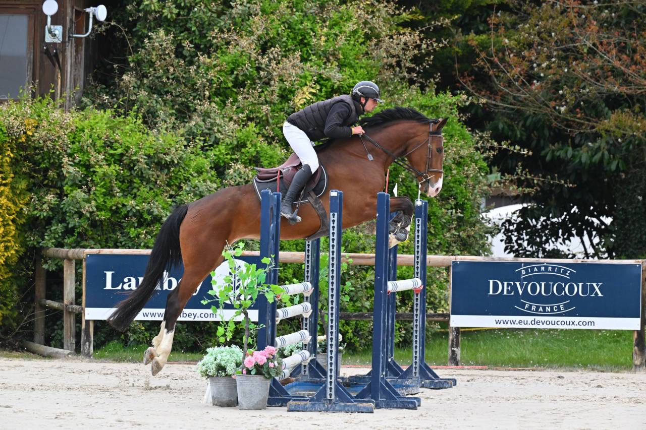 Excellente jument SF 