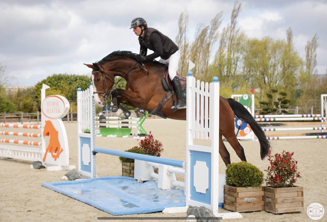 Excellente jument SF 