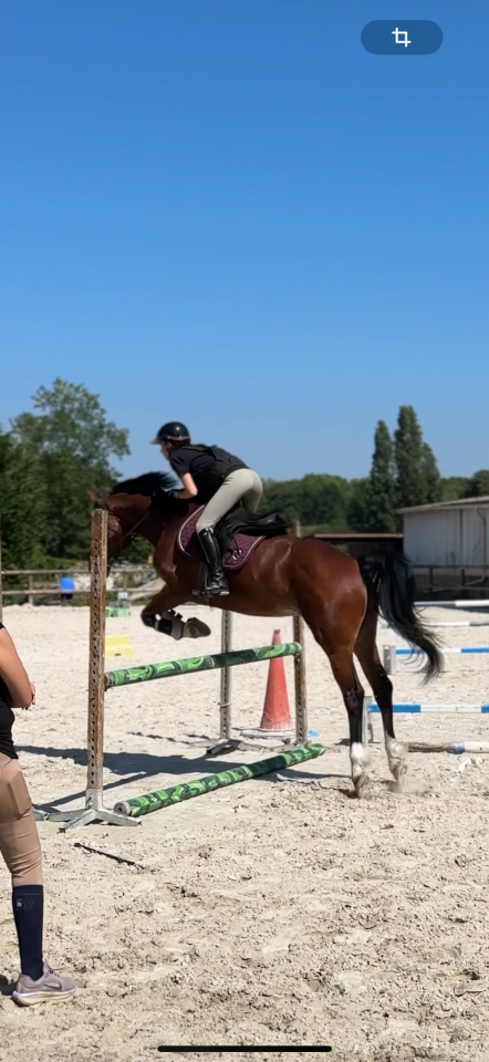 Recherche poste &agrave; temps plein en &eacute;curie (Ile-De-France)