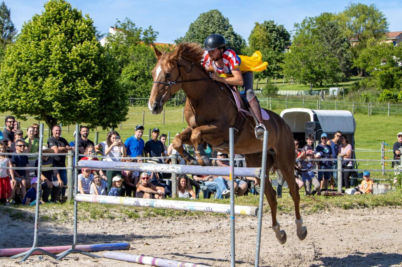 Dillinger du Frety Hongre, selle fran&ccedil;ais de 13 ans