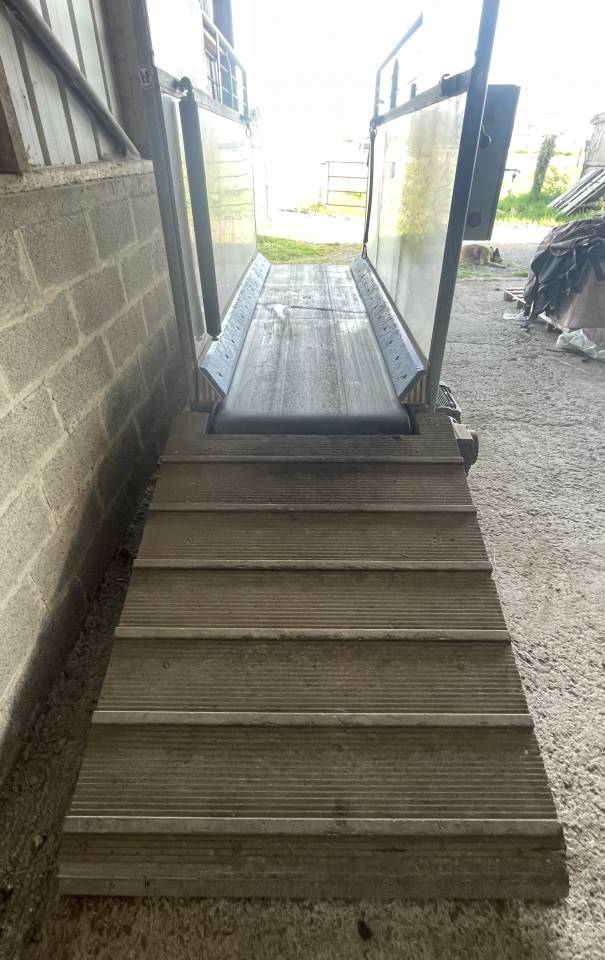marcheur tapis Horse Gym 2000