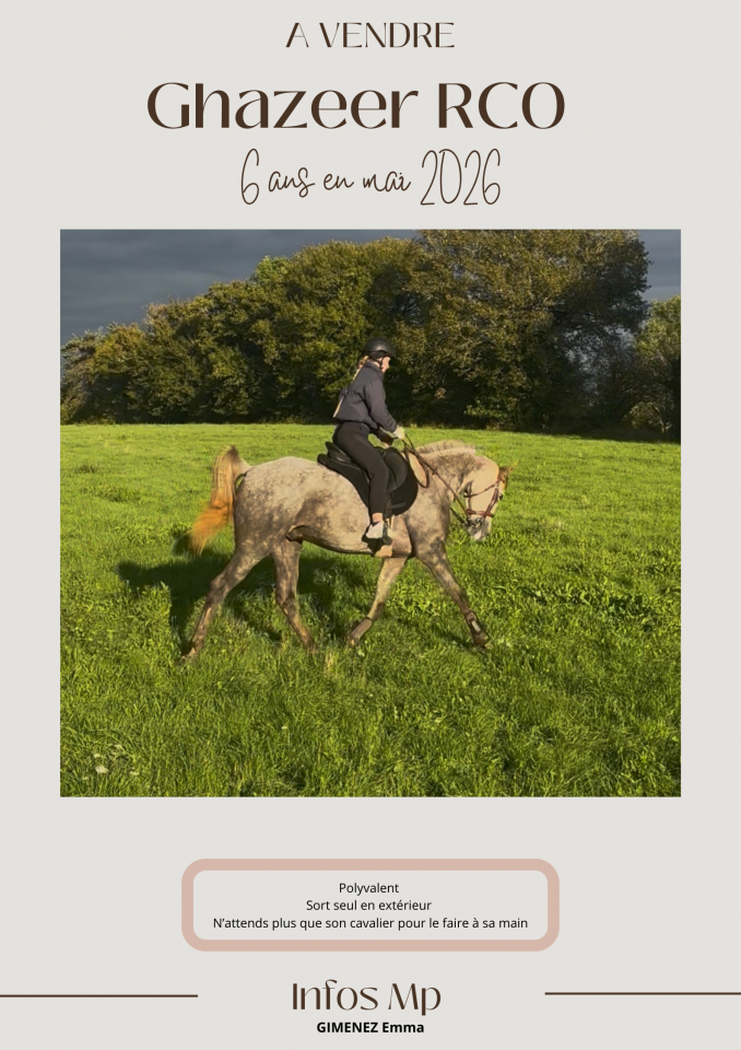 Demi sang arabe 6 ans 