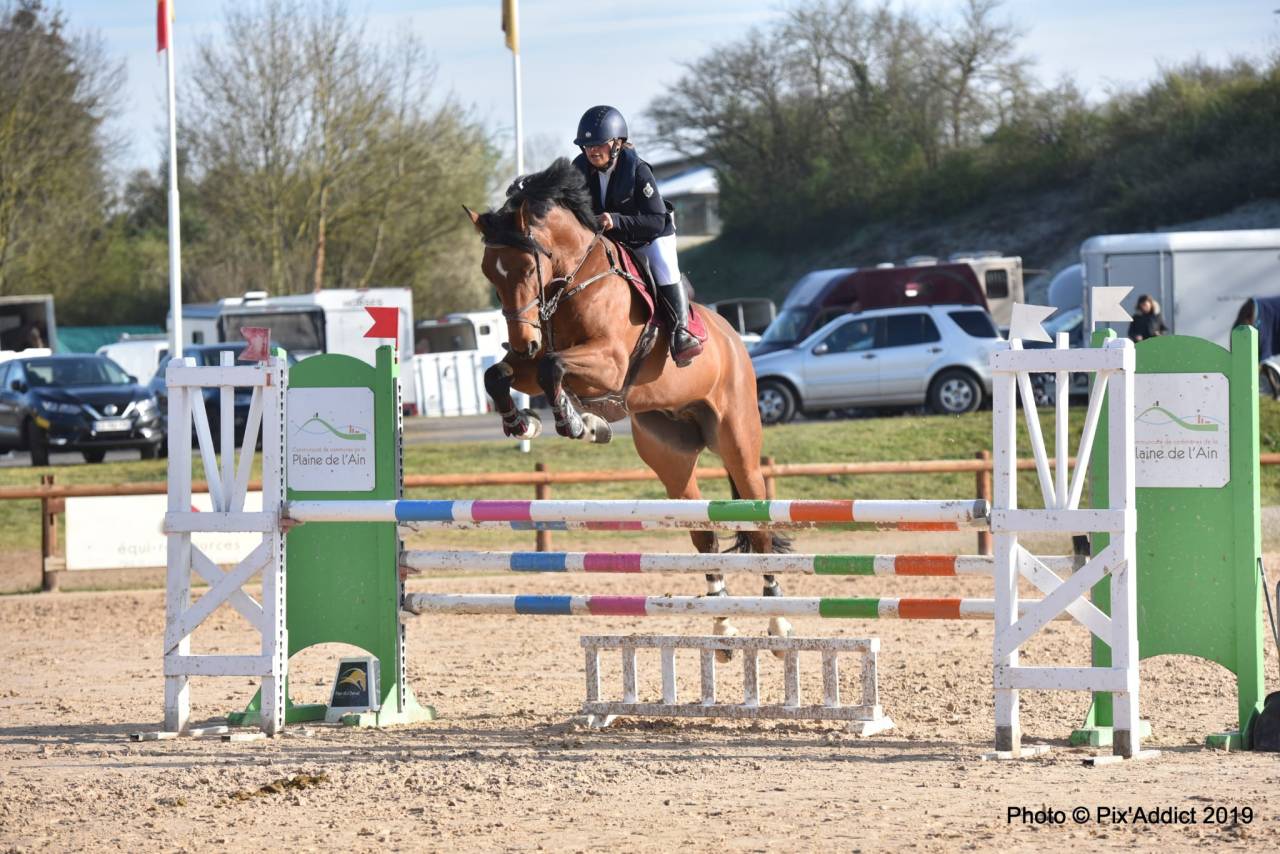 Hongre SF , CSO et Hunter 