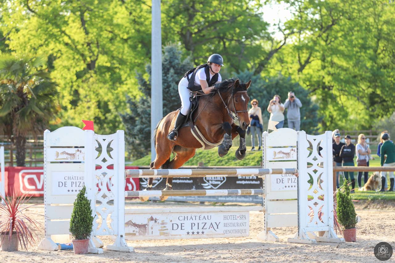 Hongre SF , CSO et Hunter 