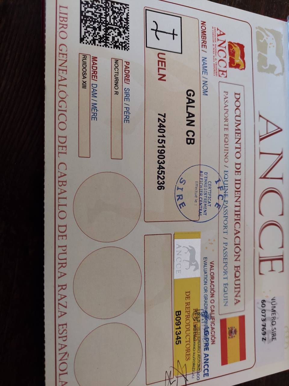 Etalon PRE certifi&eacute; reproducteur