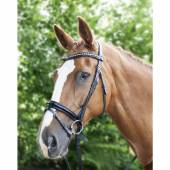 Bridon cuir Felicitas HKM