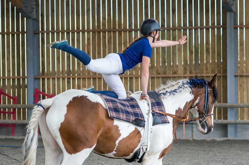 Tout l'équipement du cavalier et du cheval pour l'équitation