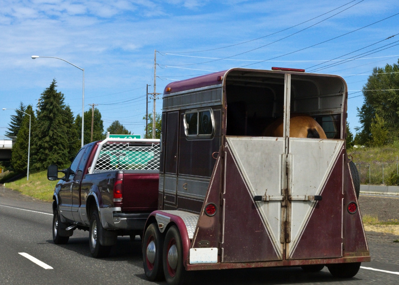 un van pour chevaux