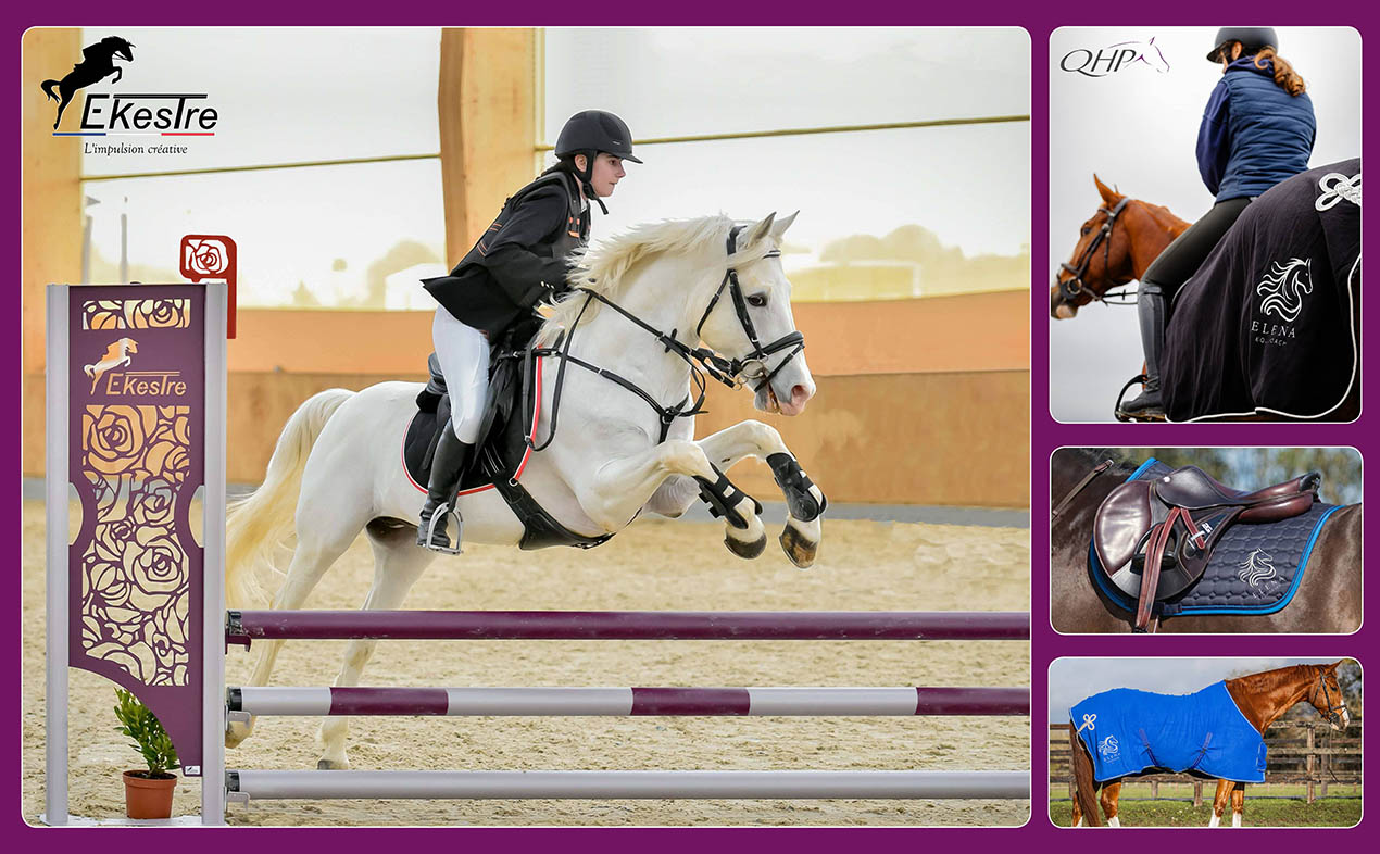 Idées Cadeaux Équestres : L'Écosystème EKESTRE, De la Piste de Concours à l'Équipement Personnalisé