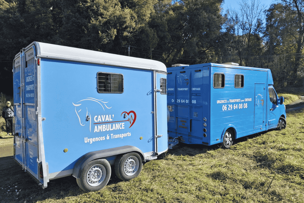 Caval’Ambulance, quand le transport équin devient une mission de confiance