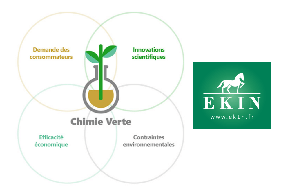 Améliorer le bien-être de son cheval par une bonne connaissance de sa peau