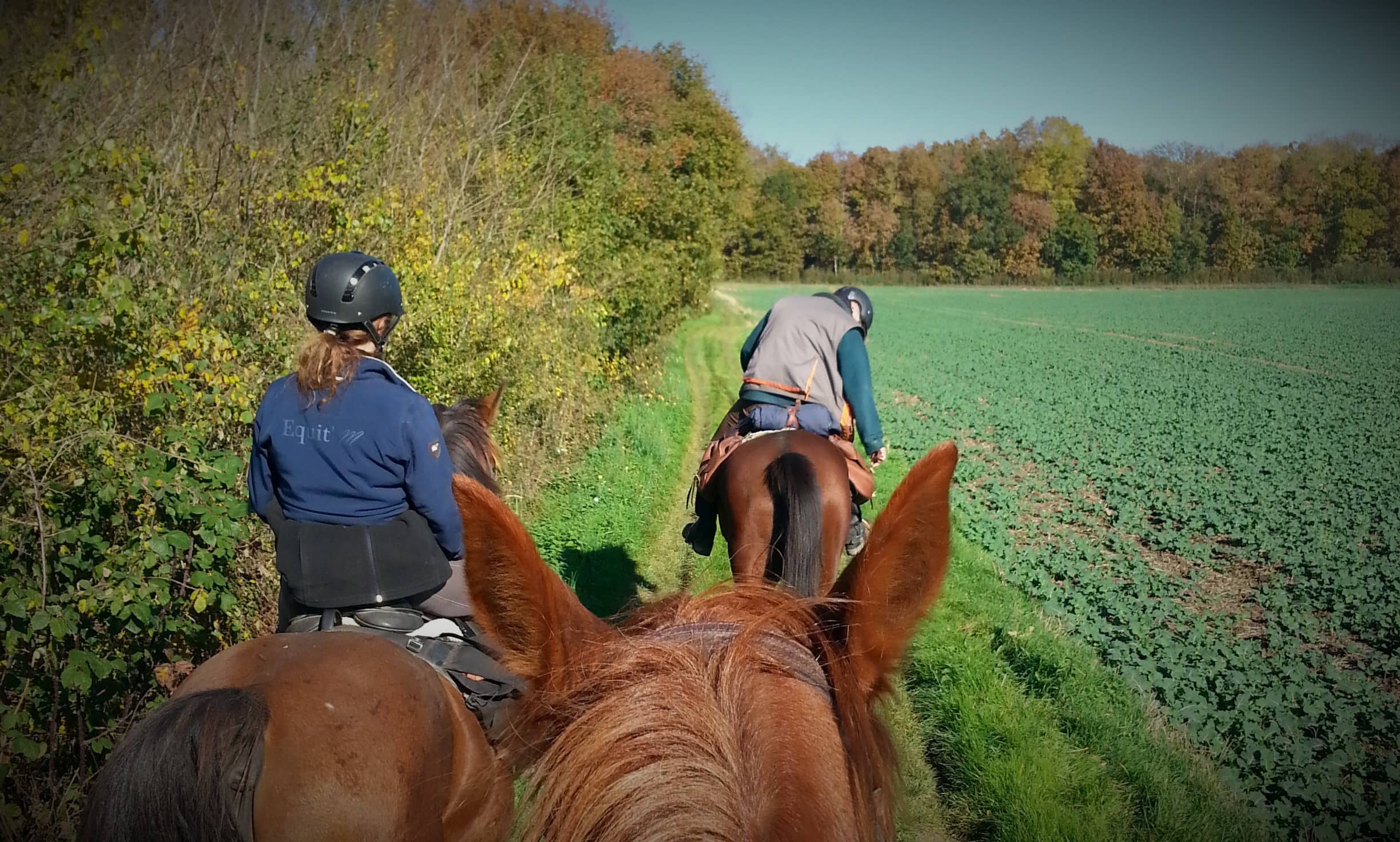 Cheval Nature : osez l’extérieur !