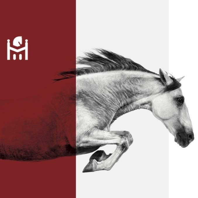 Horse Immo
