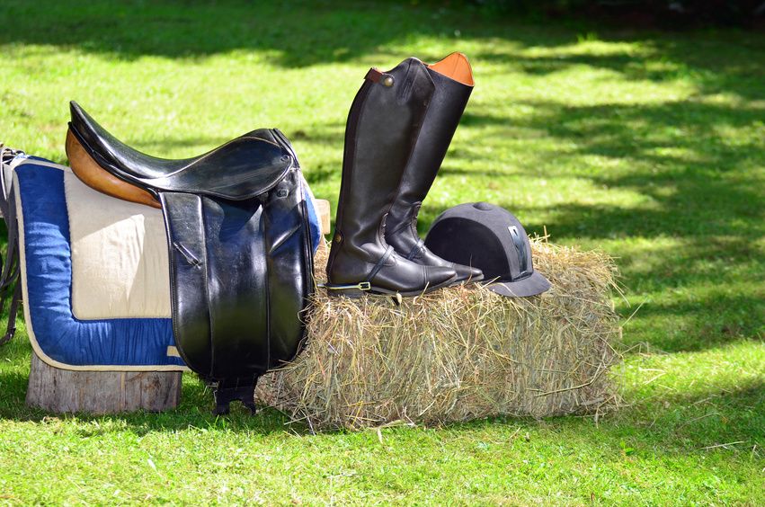 Matériel d'équitation d'occasion pour chevaux et cavaliers