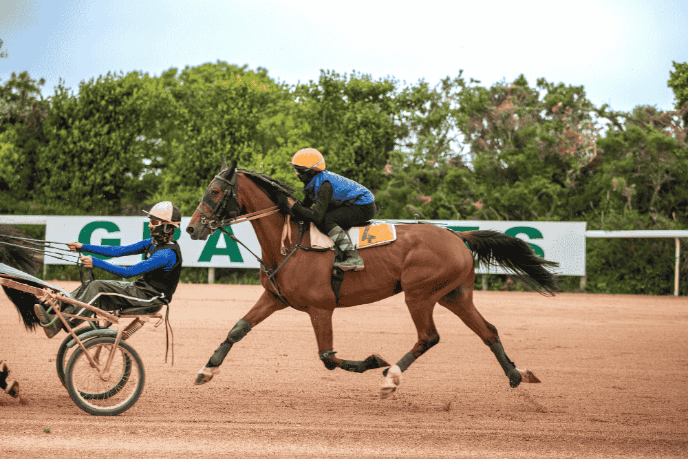 AFASEC - Formation Trot