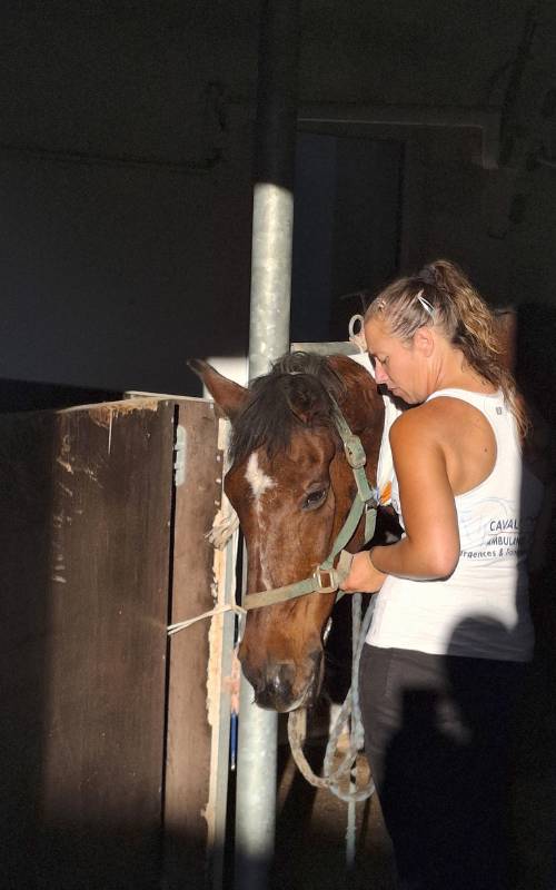 Caval Ambulnce - Claire