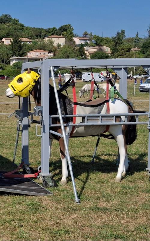 Caval Ambulnce - Horse Lift