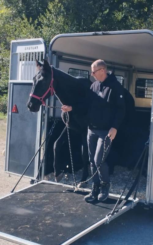 Caval Ambulnce - Jonathan