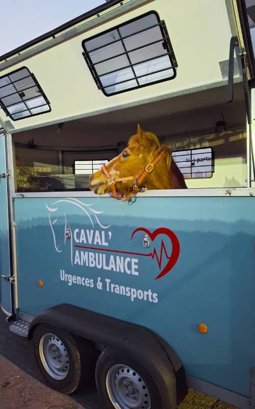 Caval Ambulnce - Ouverture van