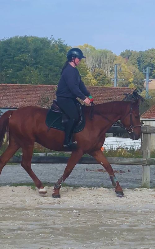Cavalier en apprentissage avec le Cub