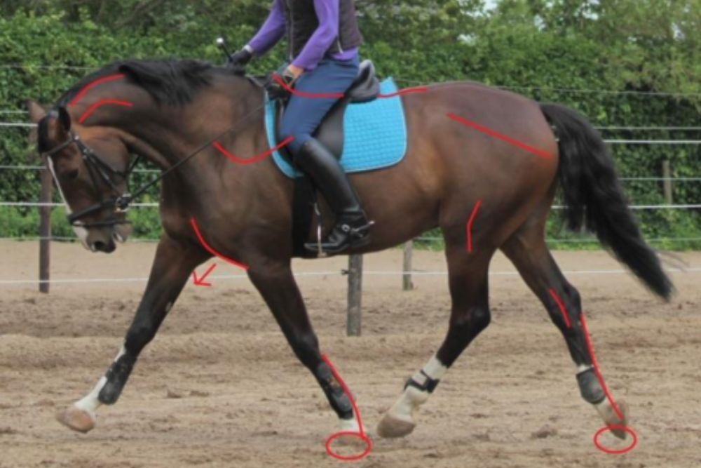 Un défi universel : la stabilité de la main