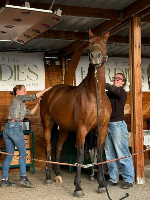 Formation au Domaine des Hardies avec SEV (PRE)