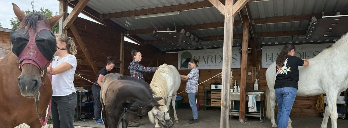 Formation au Domaine des Hardies