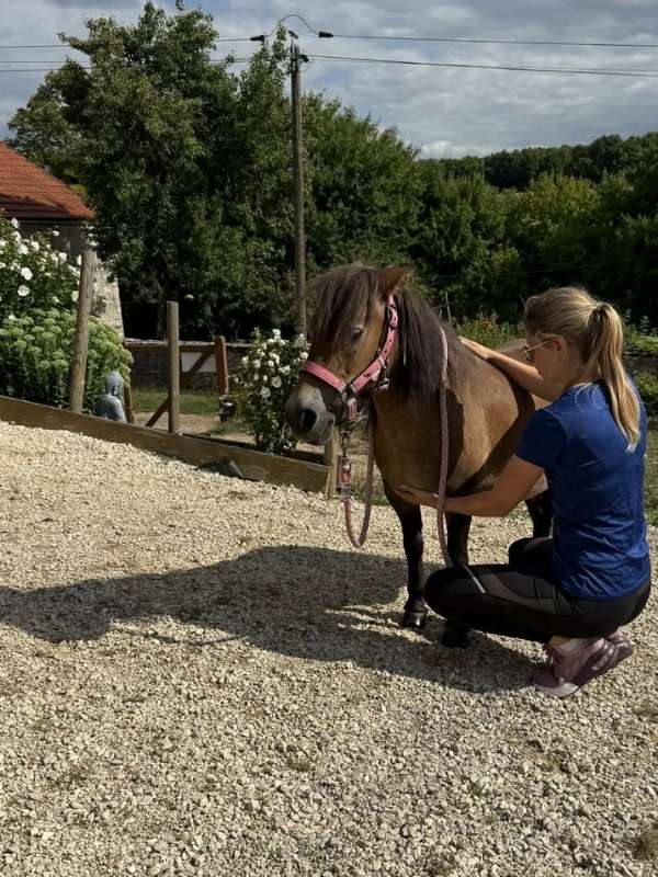 Formation au Domaine des Hardies avec Grenadine (Shetland)