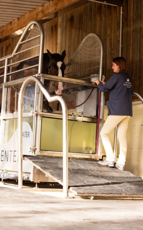 Tapis aquatique pour chevaux
