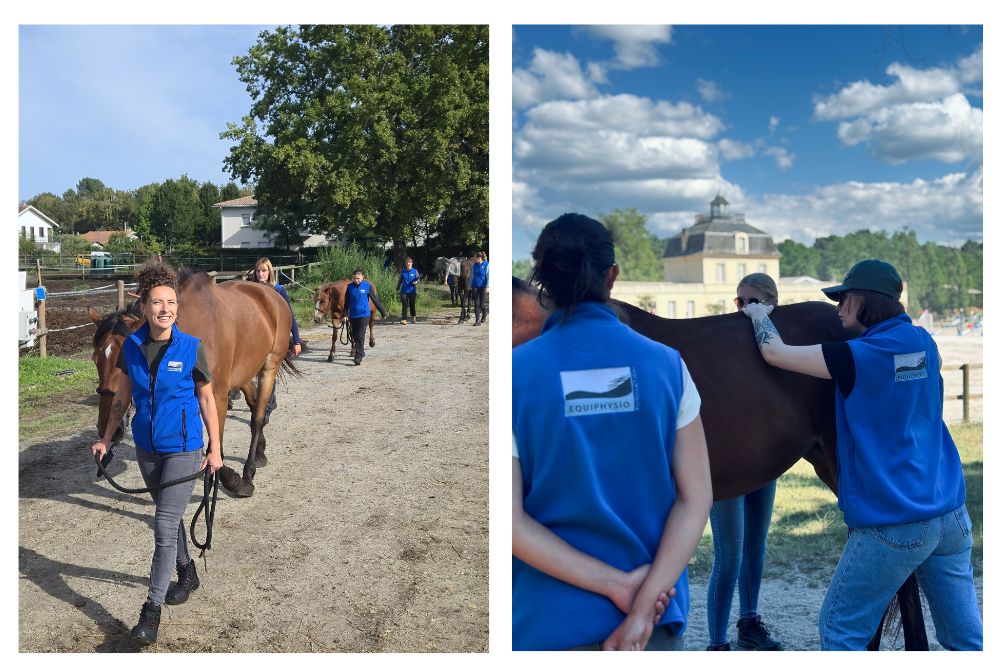 Equiphysio - Enseignement