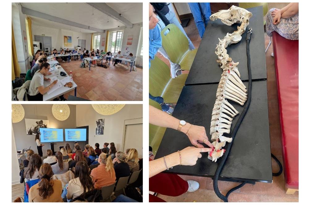 Equiphysio - Formation