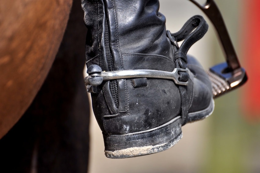 Comment choisir une paire d'éperons ?