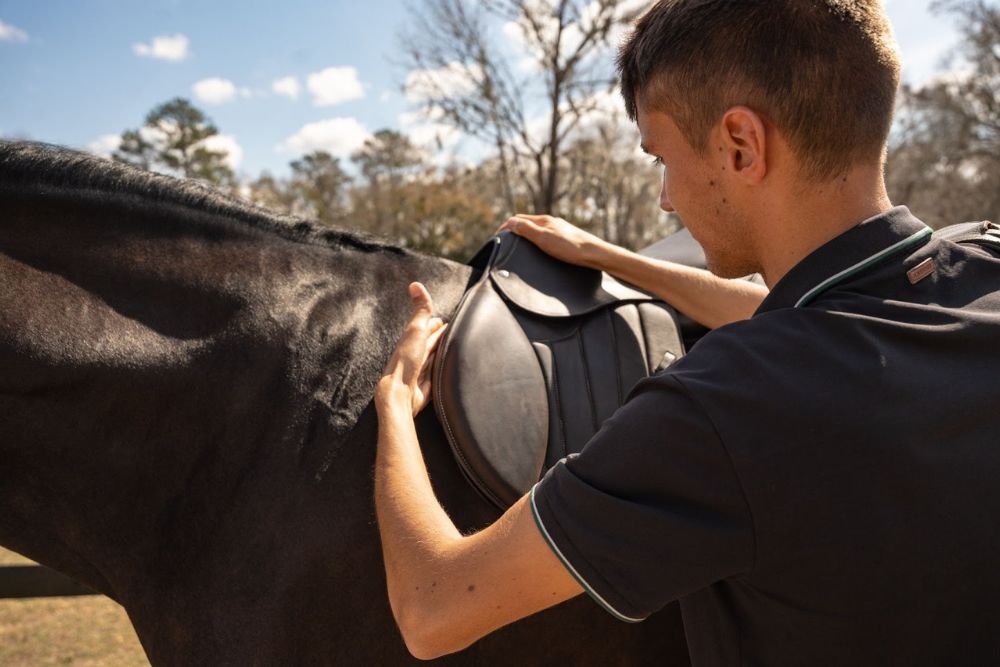 Trouver un expert sellier Forestier dans votre région