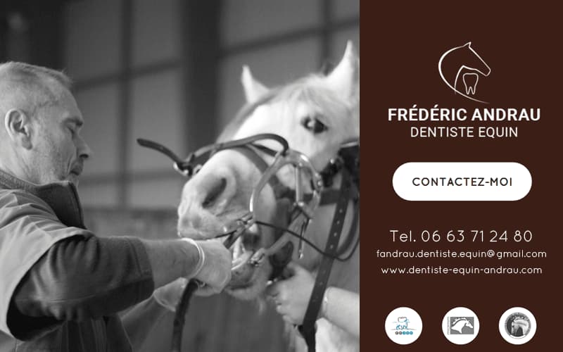 Frédéric Andrau - Technicien Dentiste Equin