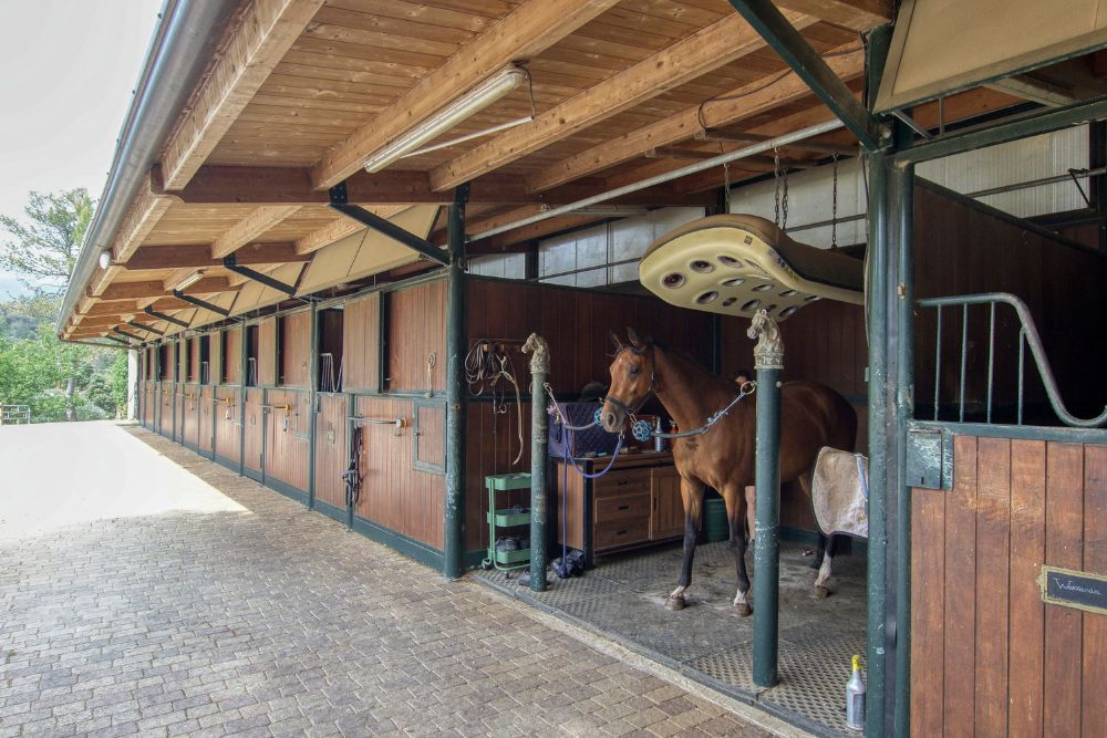 Horse Immo