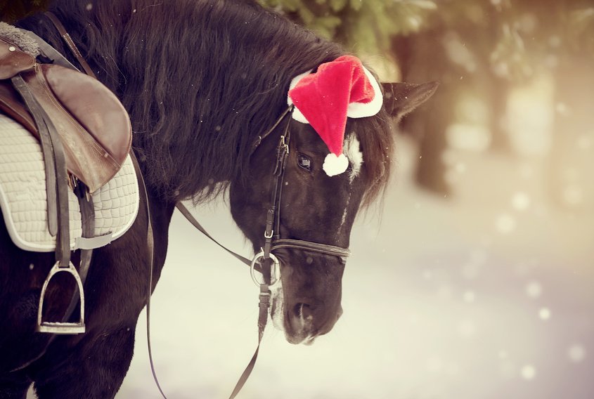 20 idées cadeaux cheval pour noël