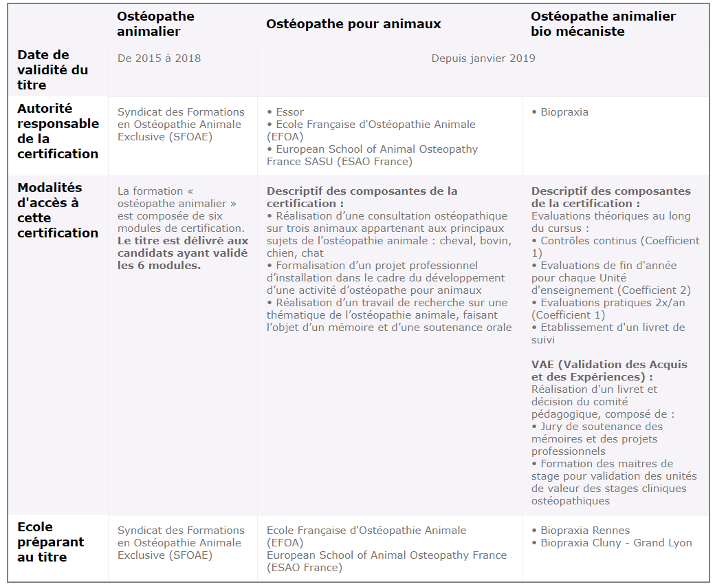 IFCE - Le métier d'ostéopathe équin