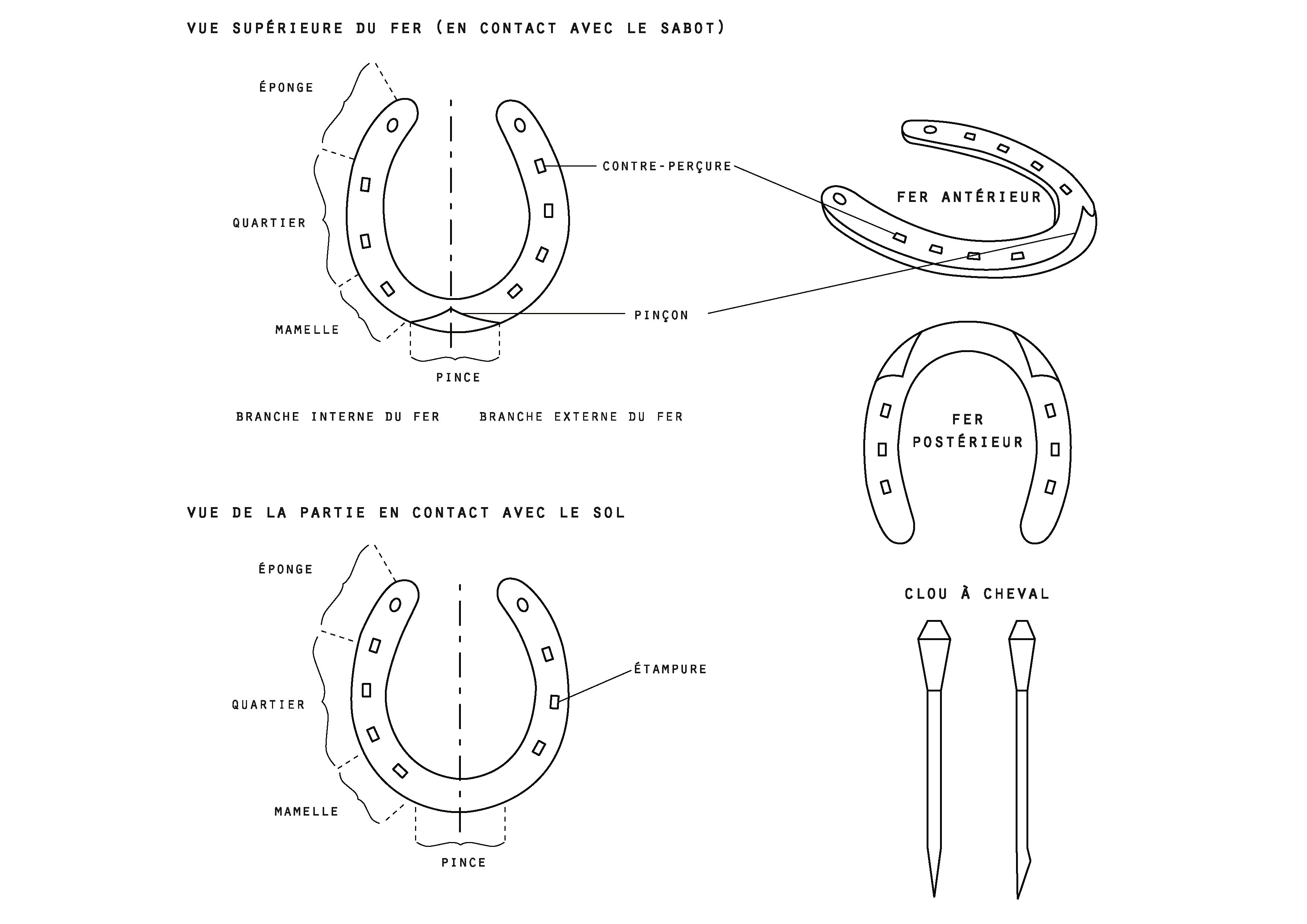 Les différents types de ferrure