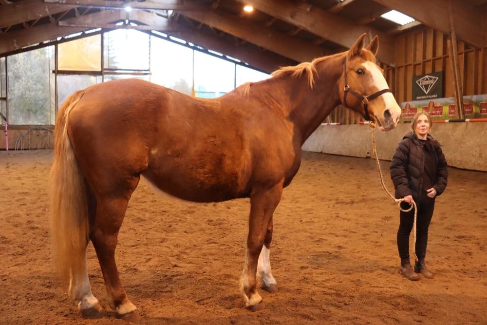 EPL Lozère - Elevage