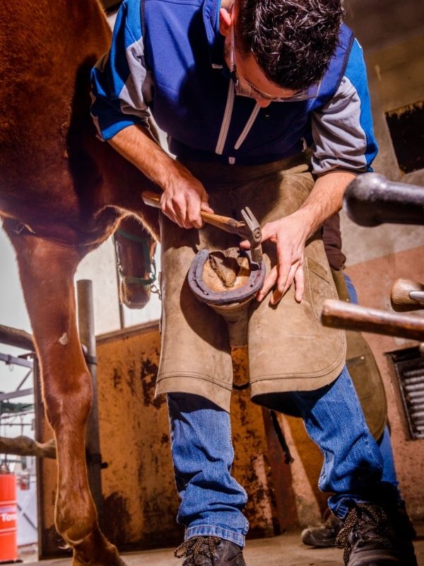 EPL Lozère - Formation maréchalerie
